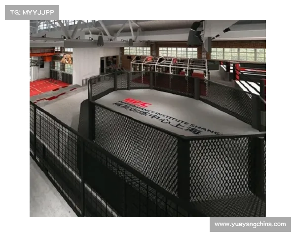 深圳mma训练馆 深圳mma训练馆
