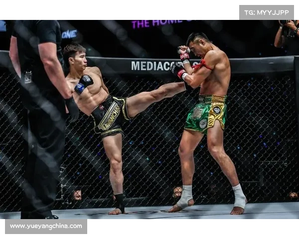 2017泰拳MAX赛事_2018泰拳冠军