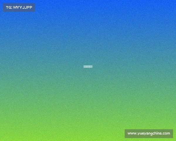 李娜赛事成绩 李娜赛事成绩