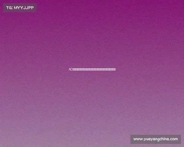 AC米兰女足联赛赛事焦点红黑军团绿茵场拼搏精神闪耀意大利赛场