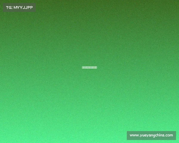 现代赛车图片大全大图