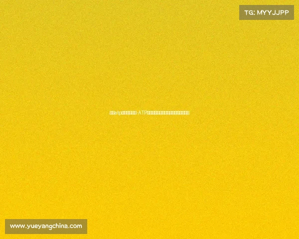 网球atp都有那些赛事-ATP网球赛事全览：男子职业巡回赛大盘点